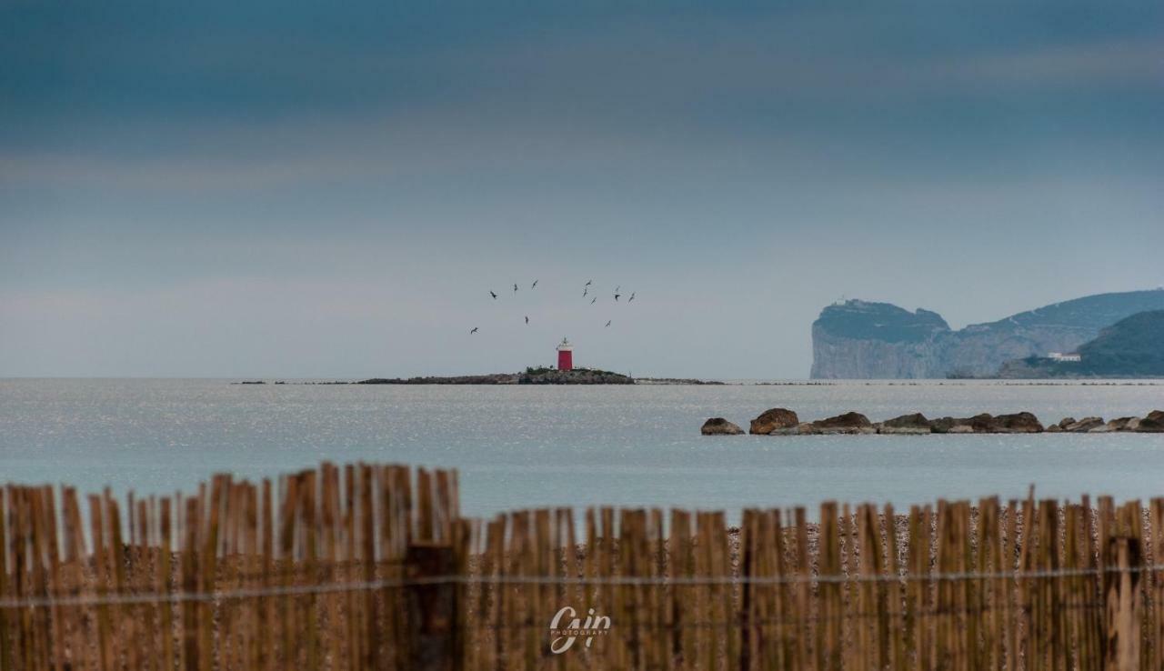 B&B Blue Wave Alghero Dış mekan fotoğraf